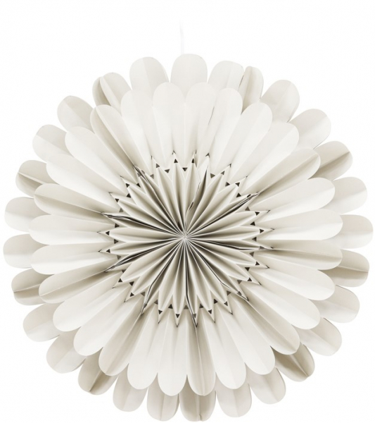 Adventi csillag 'Mora' - Bézs