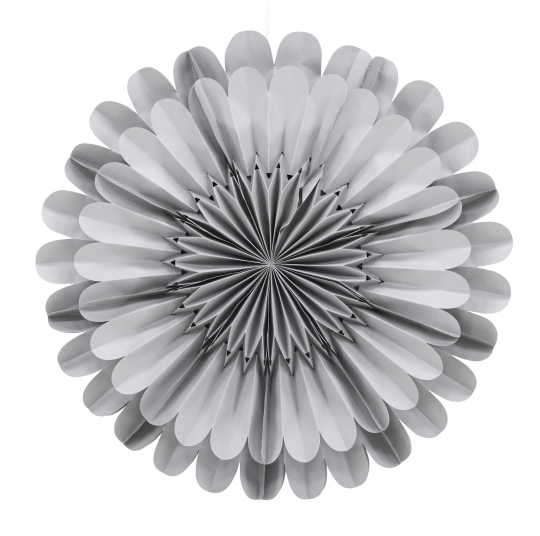 Karácsonyi csillag 'Glänt' - Szürke