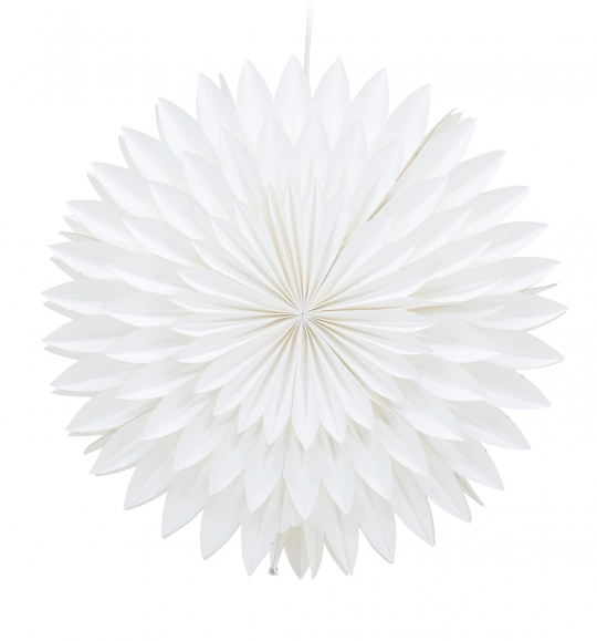 Karácsonyi csillag 'Örnsköldsvik' - Fehér