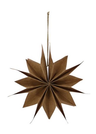 Julstjärna 'Capella' S - Natúr