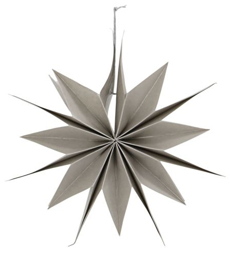 Julstjärna 'Capella' - Gyöngy S