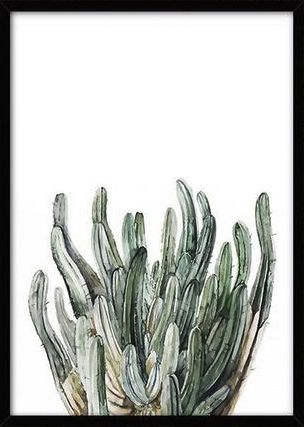 Canvas Poszter L - Trópusi növény 9