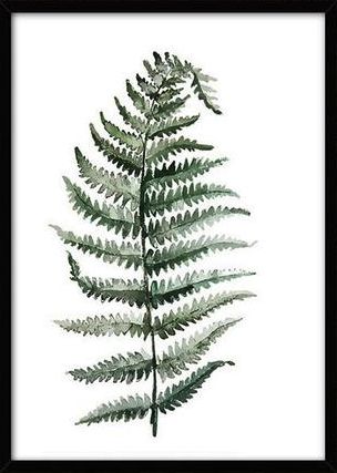 Canvas Poszter L - Trópusi növény 10