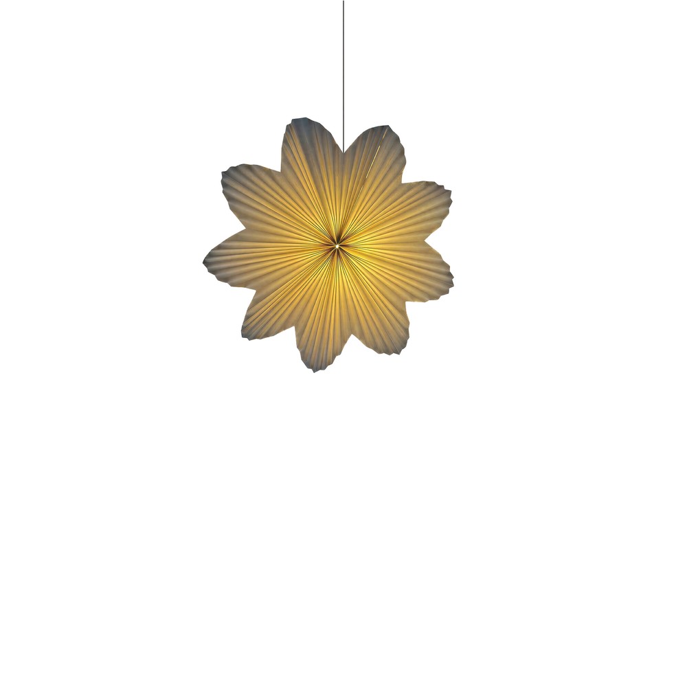 Daisy 60cm adventi csillag - Feh&eacute;r