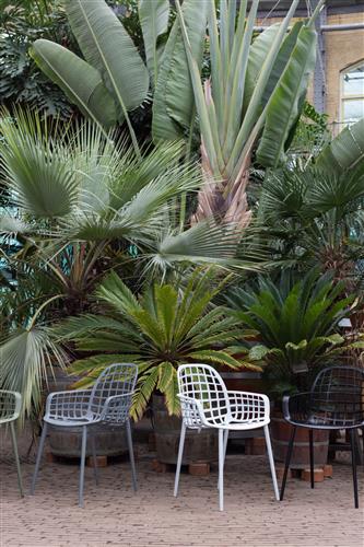 Albert szék - Fehér