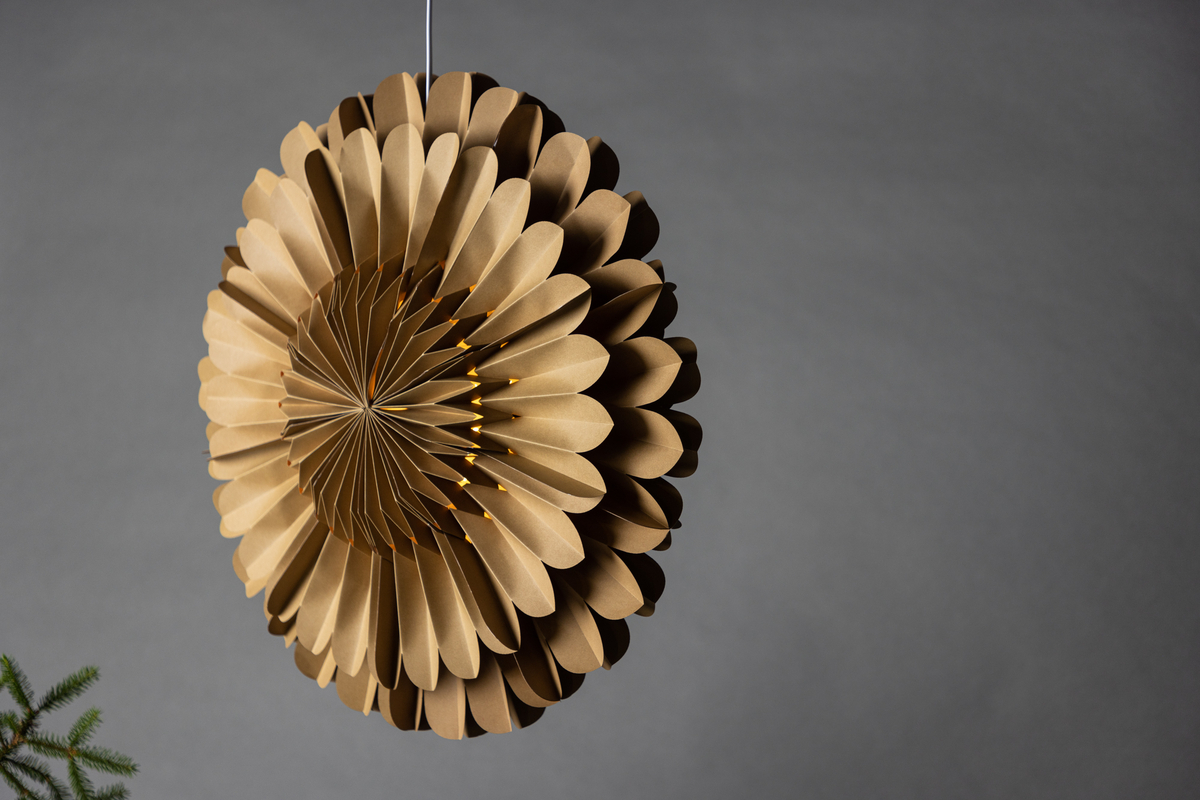 Adventi csillag 'Mora' - Barna