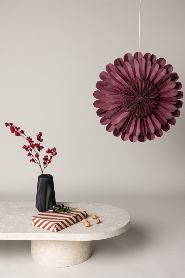 Karácsonyi csillag 'Glänt' - Piros