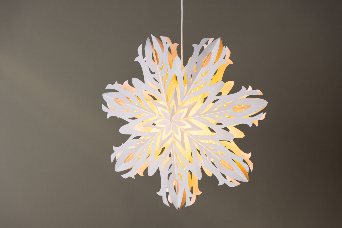 Adventi csillag 'Kungälv' - Fehér