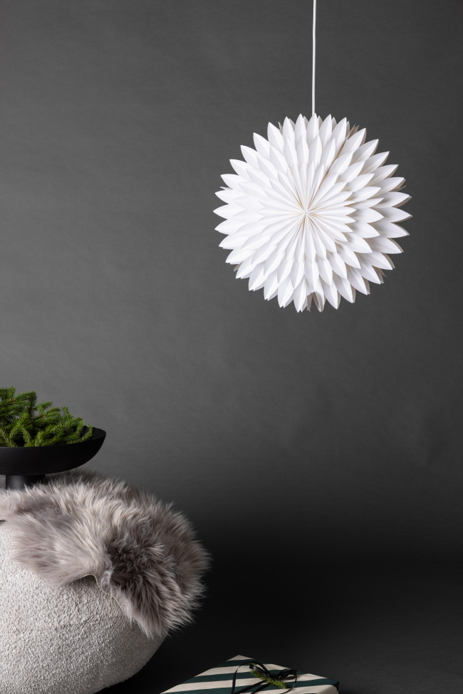 Karácsonyi csillag 'Örnsköldsvik' - Fehér