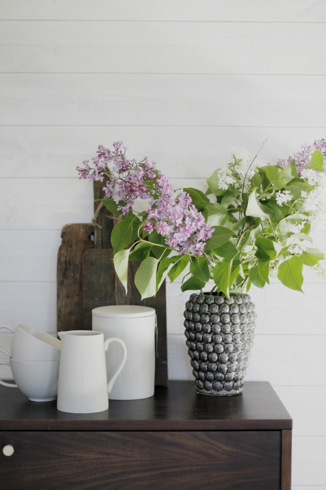 Prime TV-szekrény/Komód - Dió/Brassó