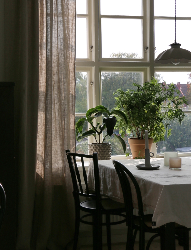 Függöny 'Sunshine' 140x290 - Természetes