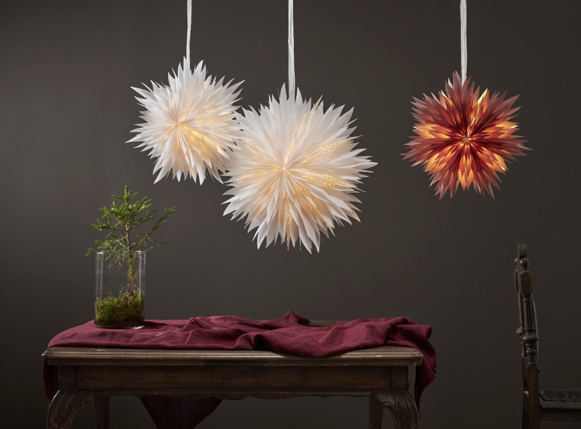 Karácsonyi csillag 'Dis' - Fehér