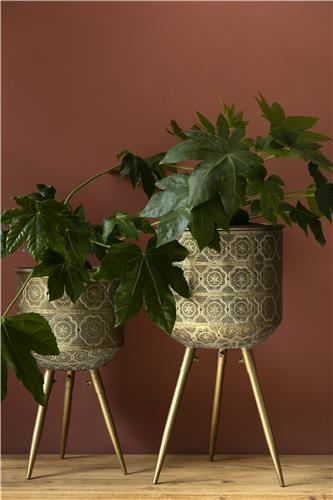 Cserép 'Botanique' M - Réz