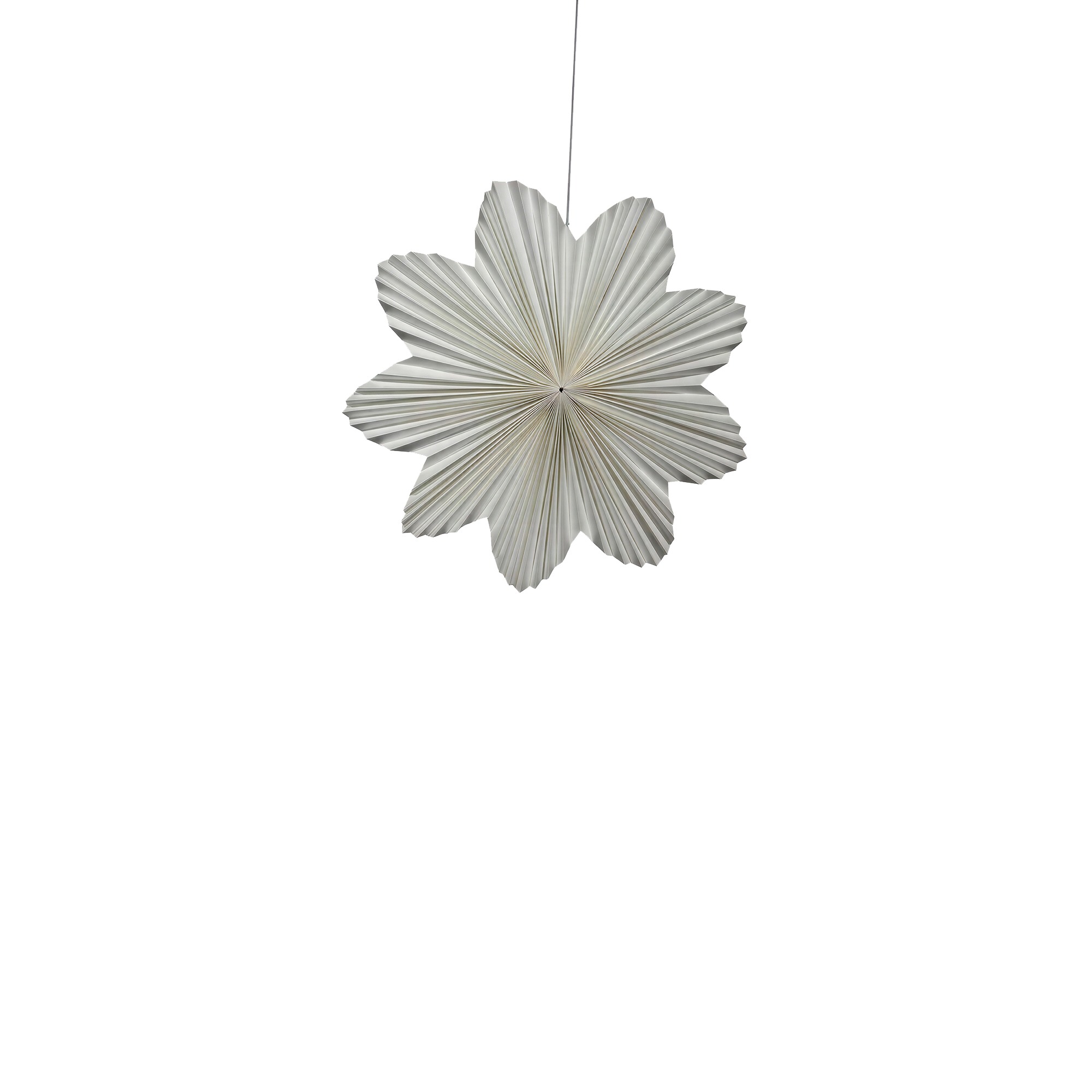 Daisy 60cm adventi csillag - Feh&eacute;r