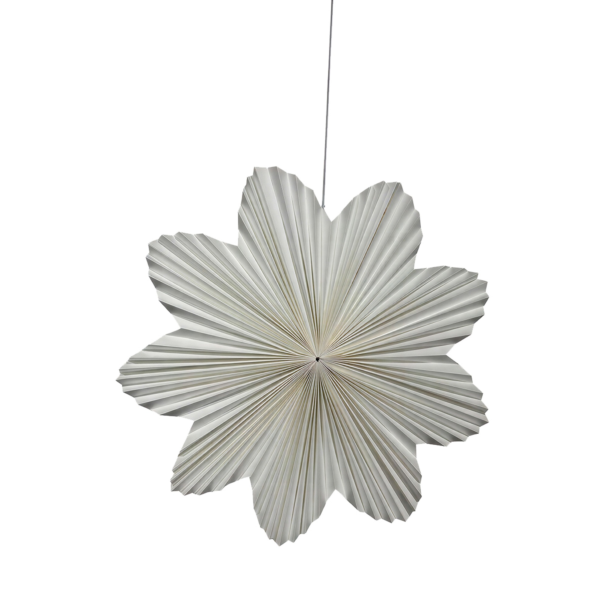 Daisy 60cm adventi csillag - Feh&eacute;r