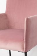 Dion fotelek - Bársony/Rózsaszín