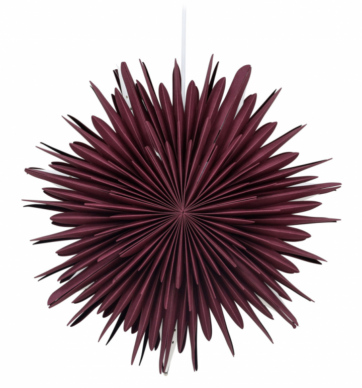 Ture karácsonyi csillag - Sötét piros a csoportban Világítás / Lámpák / Karácsonyi világítás nál Reforma (20031-112)