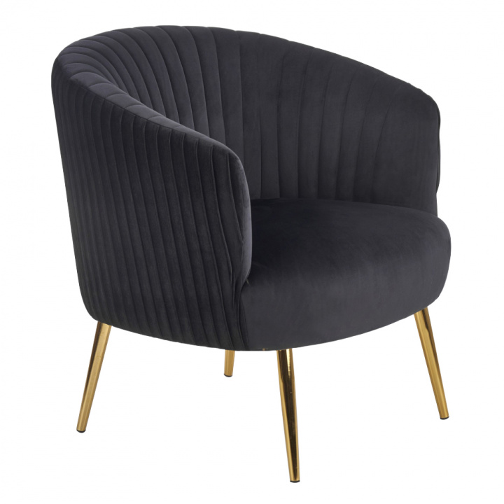 Fotel \'Fekete bársony\' - Fekete a csoportban Bútorok / Ülőbútorok / Fotelok nál Reforma (2010001176503)
