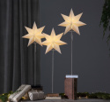 Karácsonyi csillag \'Totto\' - Álló