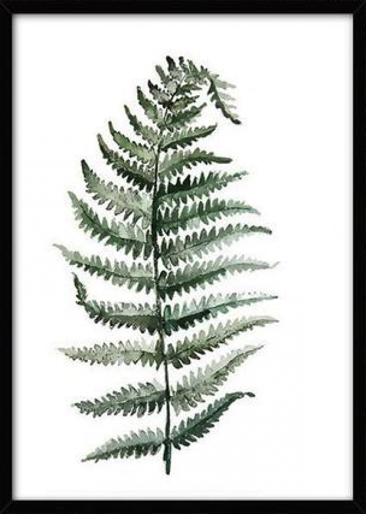 Canvas Poszter L - Trópusi növény 10 a csoportban Dekoráció / Dekoráció / Képek és poszterek nál Reforma (LS71237-10-K-5070)