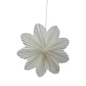 Daisy 60cm adventi csillag - Feh&eacute;r
