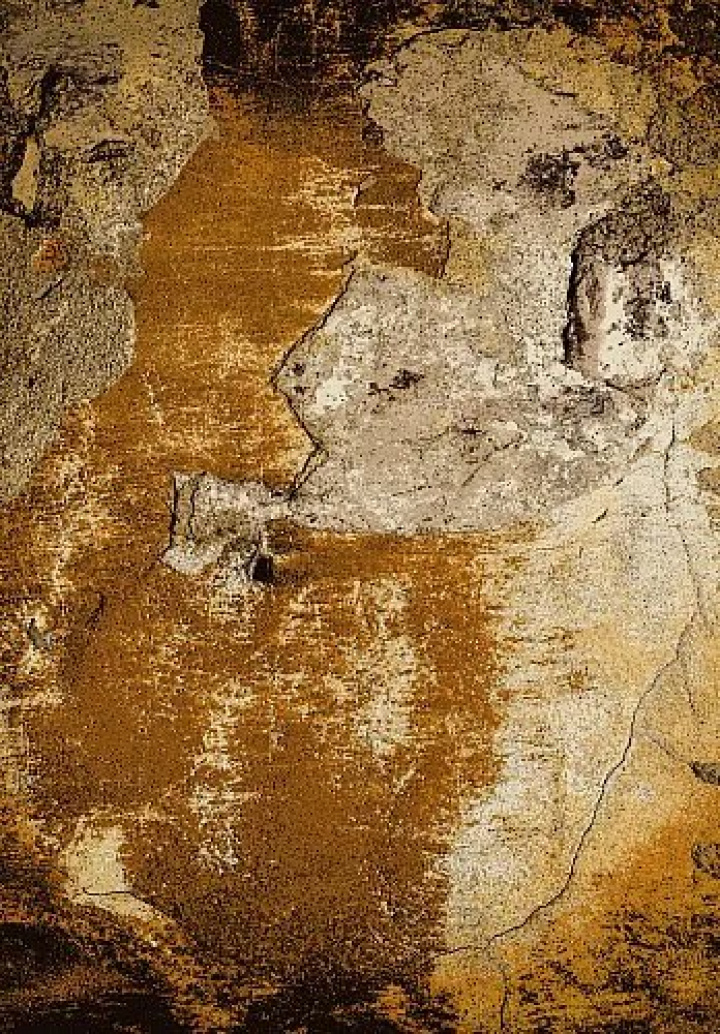 Wilton szőnyeg \'Olivera\' 130x190cm - Barna a csoportban Dekoráció / Szőnyegek / Szövet szőnyegek nál Reforma (X10117493)